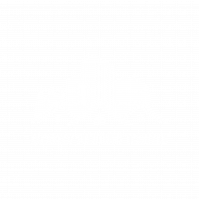 Elevated Solutions Team LLC