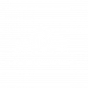 Elevated Solutions Team LLC